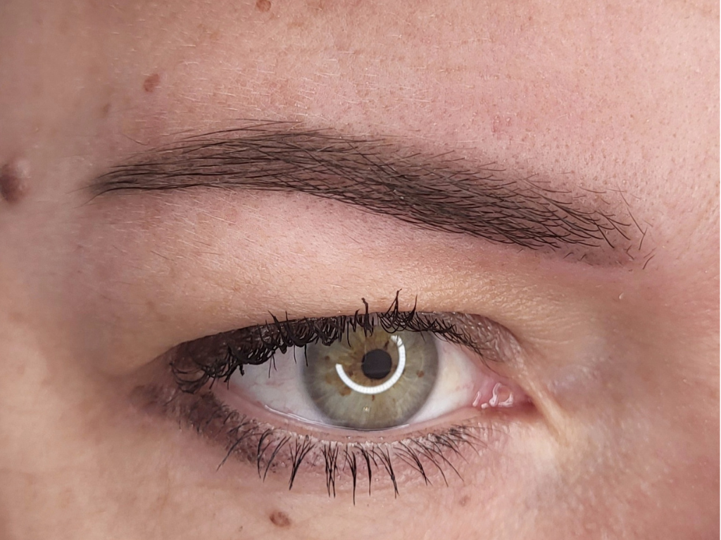 Sourcils poudrés