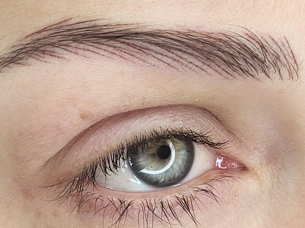 Sourcils poil à poil