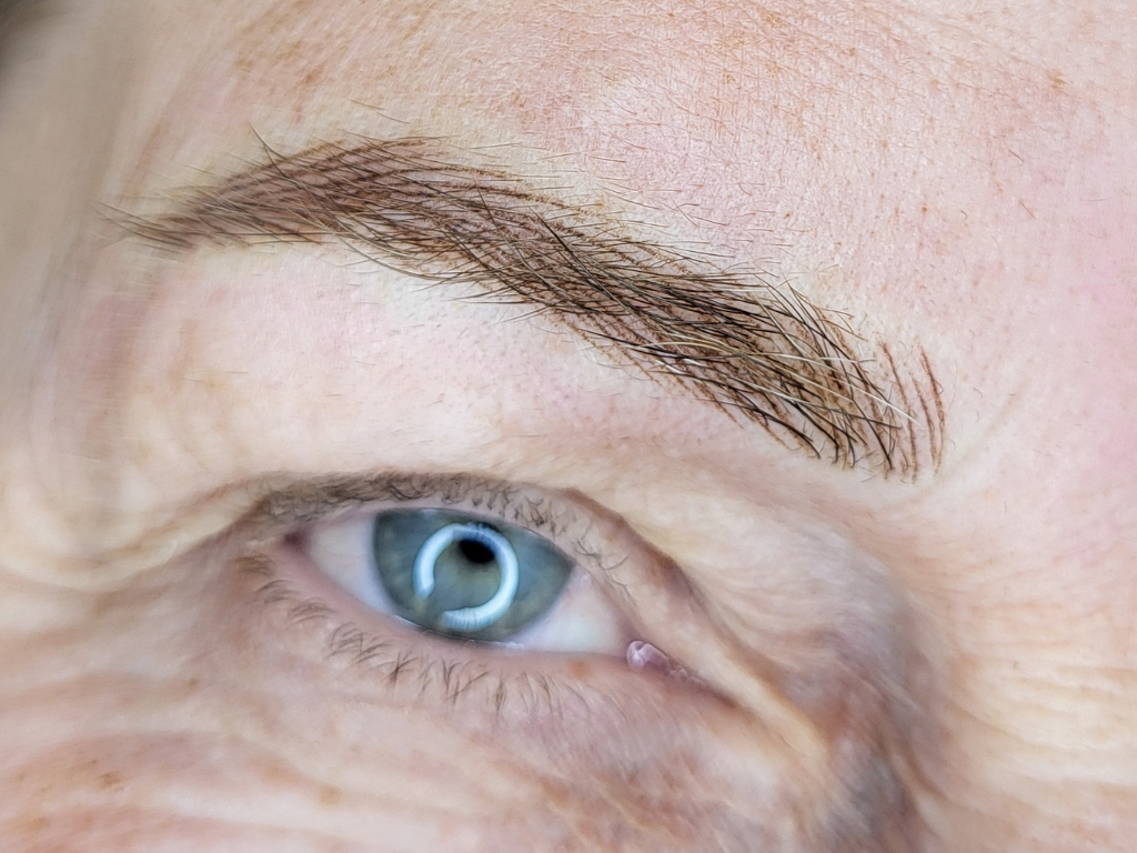 Sourcils poil à poil