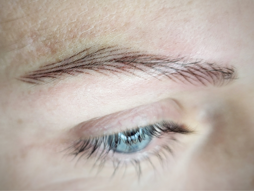 Sourcils poil à poil