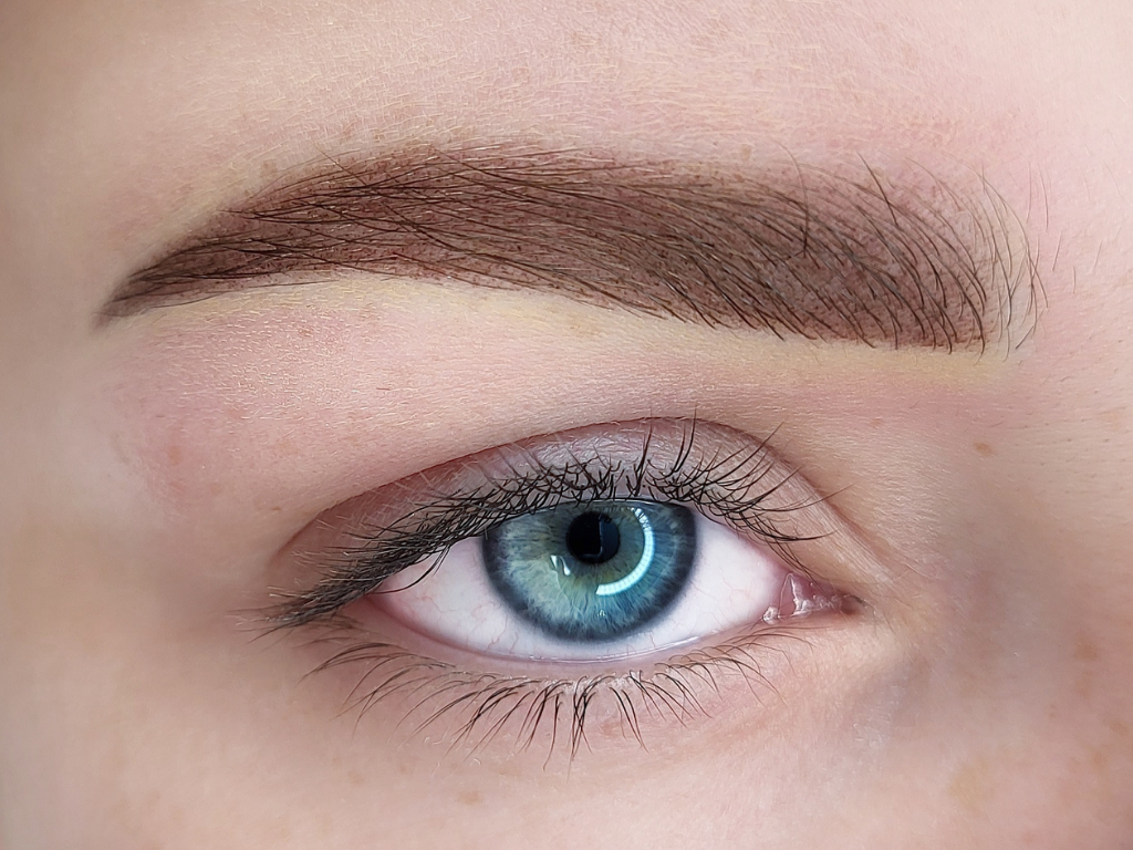 Sourcils poudrés