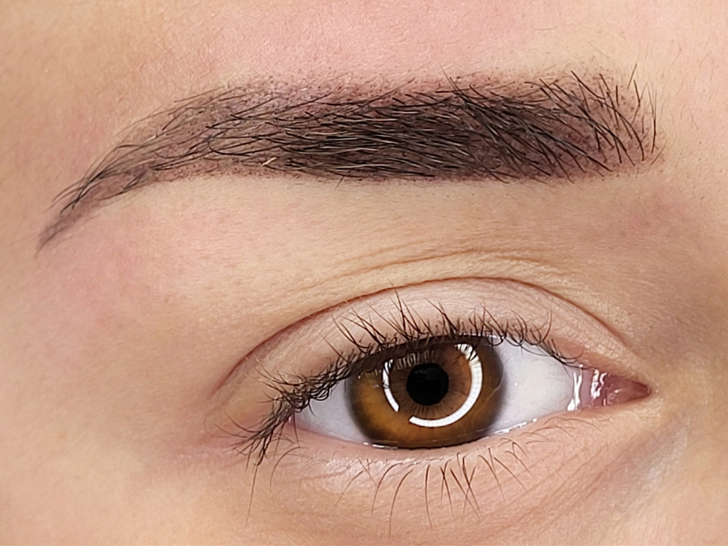 Sourcils poudrés