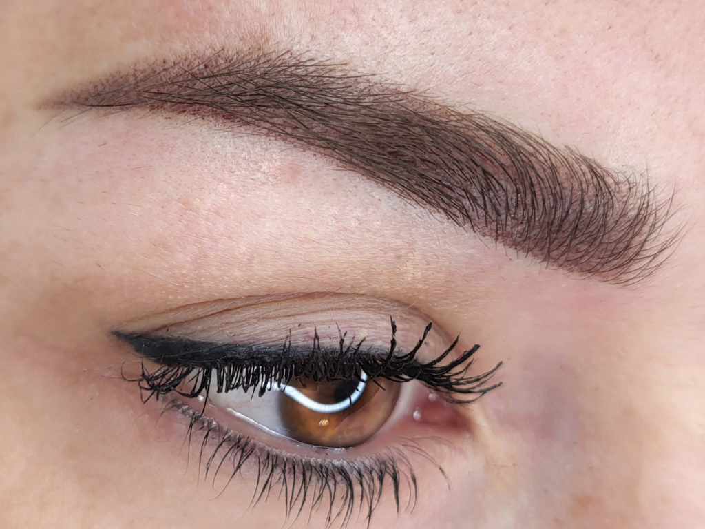 Sourcils poudrés