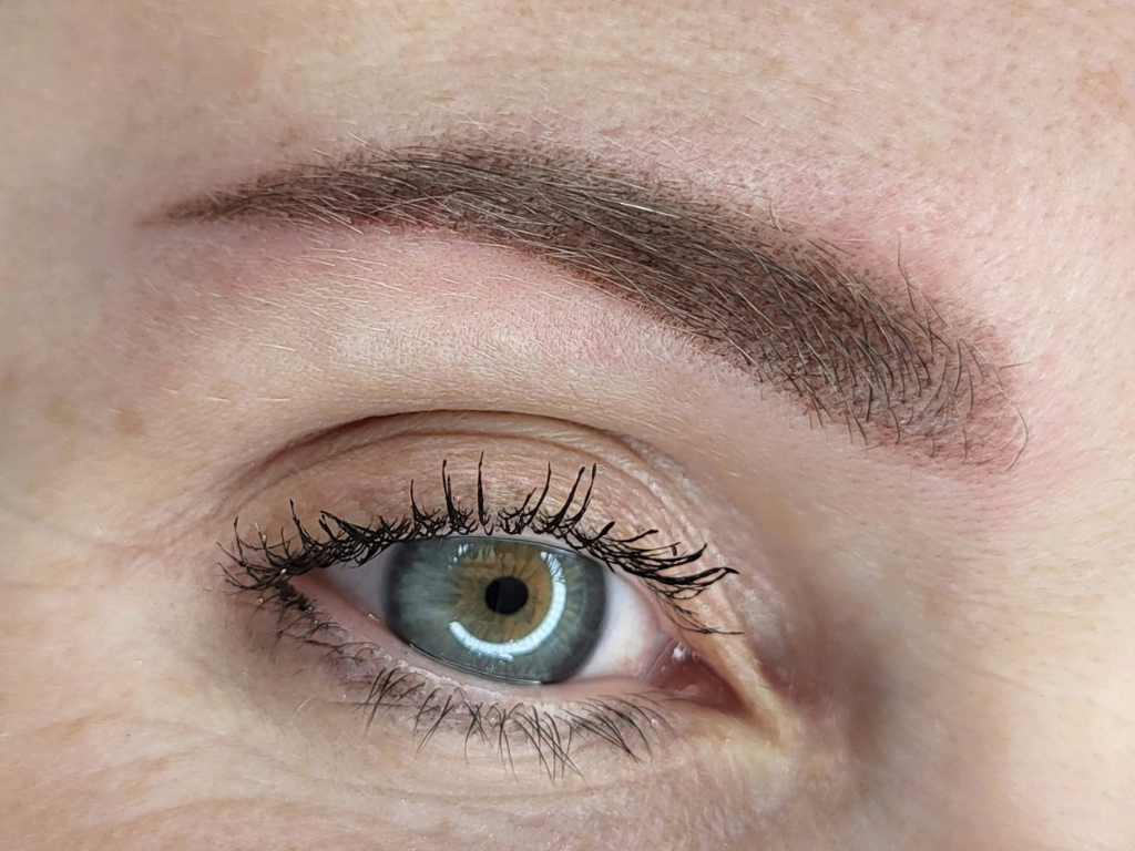 Sourcils poudrés