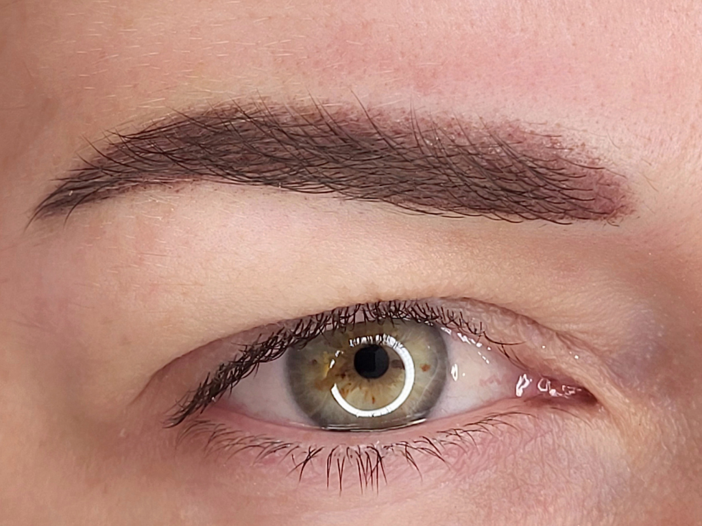Sourcils poudrés