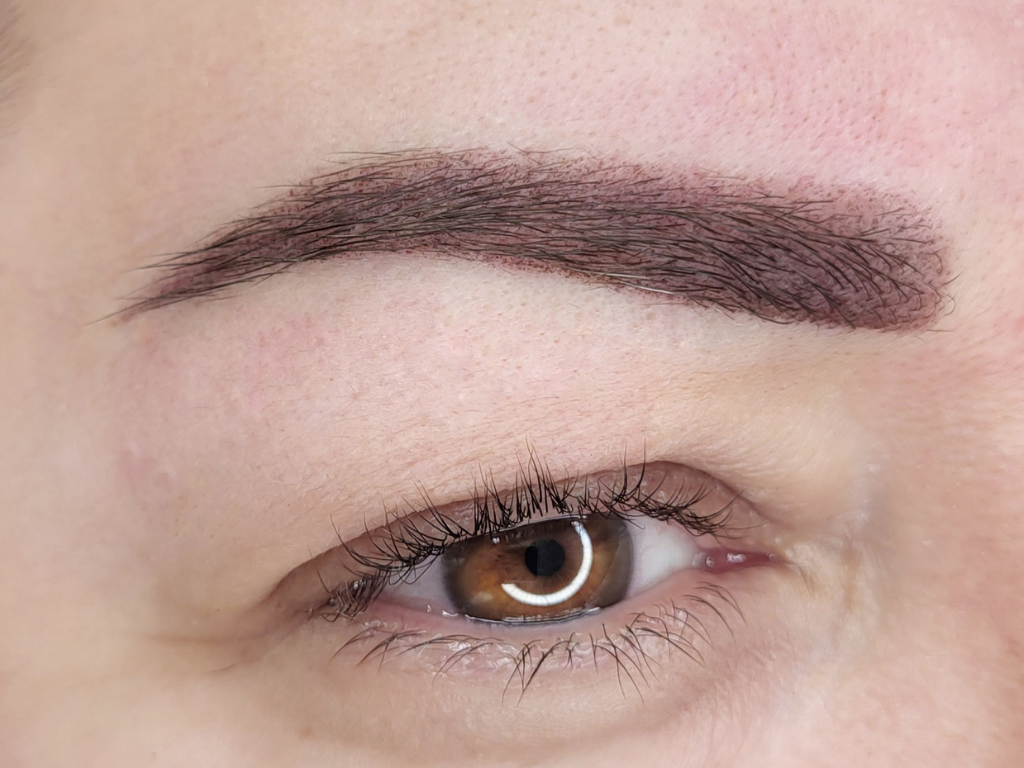 Sourcils poudrés
